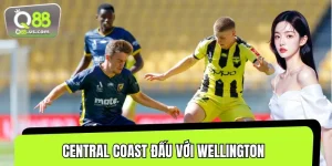 Central Coast Đấu Với Wellington - Cuộc Rượt Đuổi Hấp Dẫn